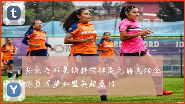 热刺与布莱顿持续磋商范赫克转会球员渴望加盟英超豪门