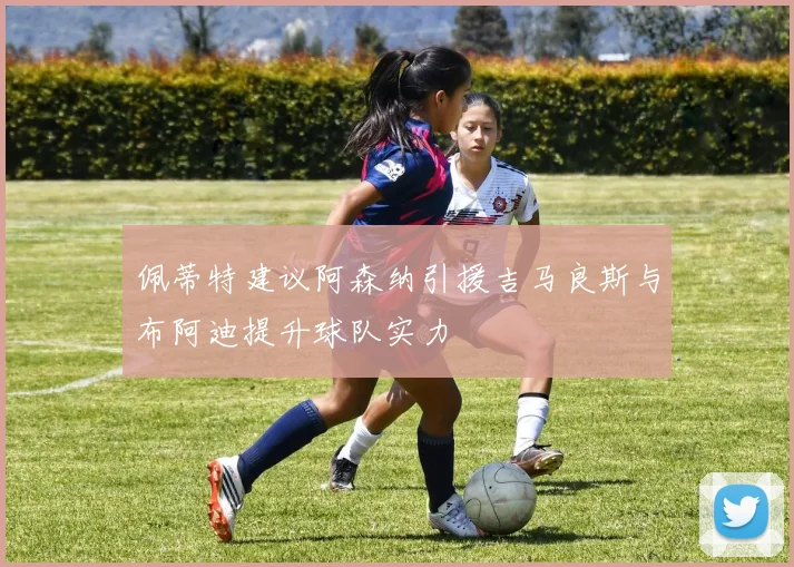 佩蒂特建议阿森纳引援吉马良斯与布阿迪提升球队实力