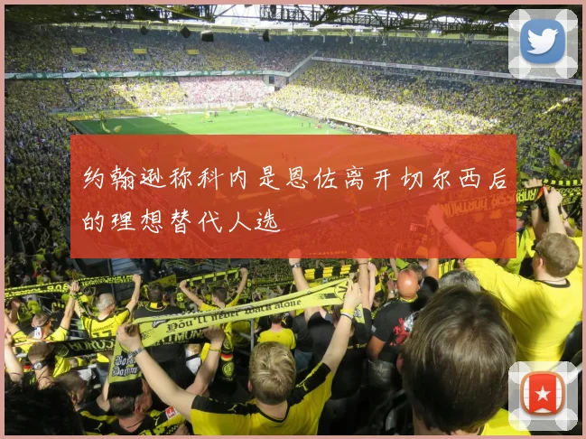 约翰逊称科内是恩佐离开切尔西后的理想替代人选