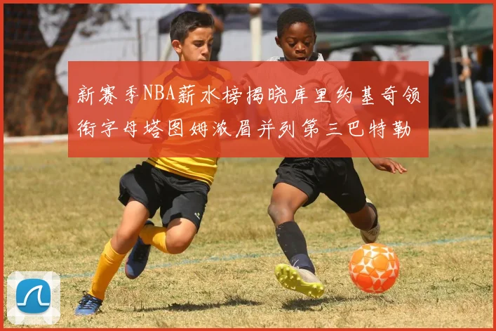 新赛季NBA薪水榜揭晓库里约基奇领衔字母塔图姆浓眉并列第三巴特勒排名第十