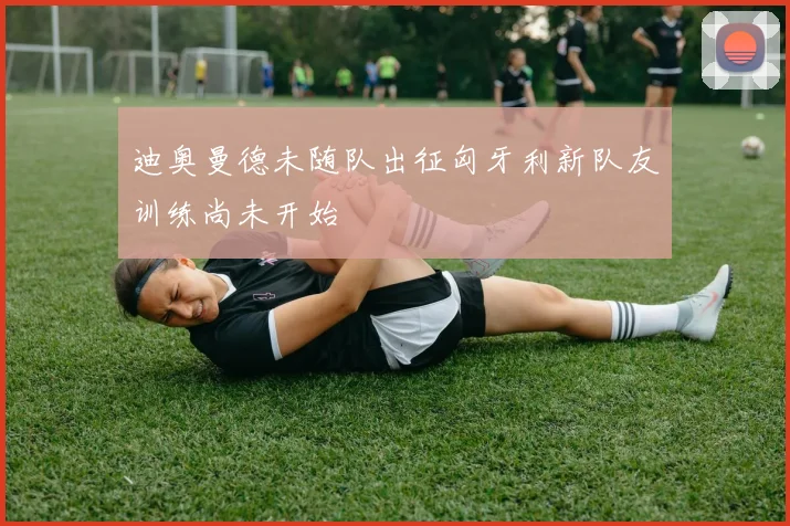 迪奥曼德未随队出征匈牙利新队友训练尚未开始